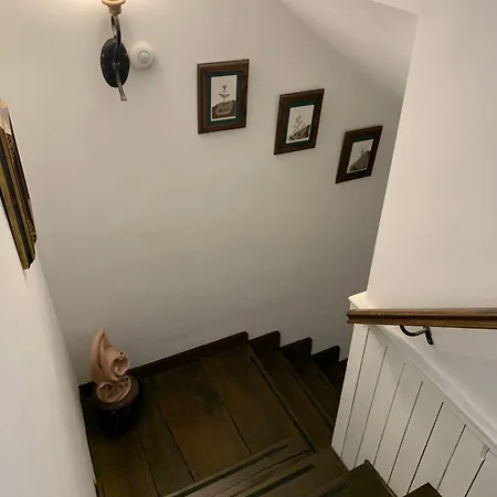 El Jardín Del Laurel - Only Adults -