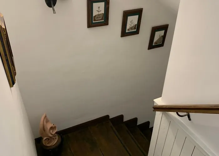 El Jardin Del Laurel - Only Adults -